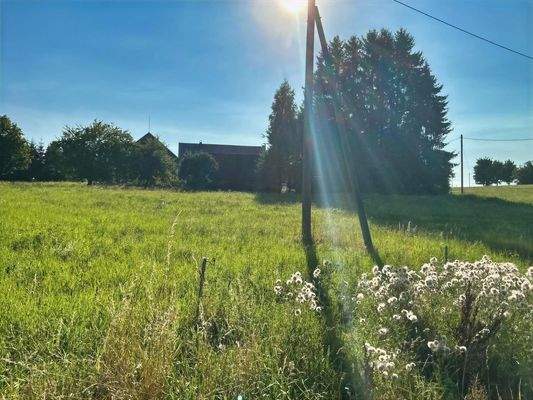 Wiese unterhalb vom Hof