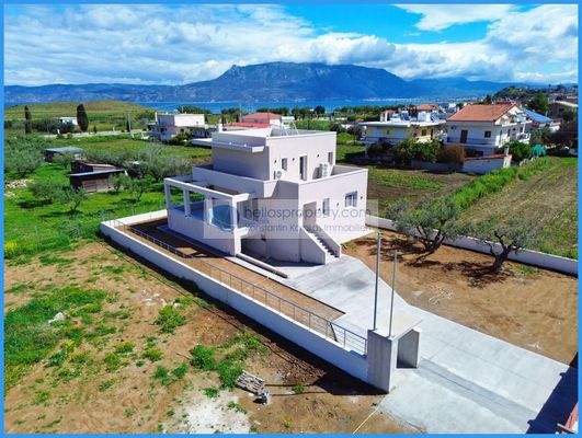 b1795503d341442a8c7f359ae065f5ea-original