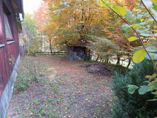 eingewachsenes Grundstück mit Holzschuppen 