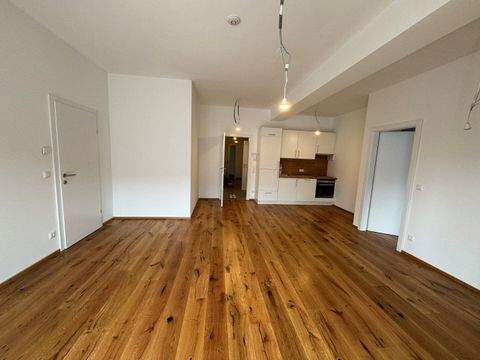 Miesenbach bei Birkfeld Wohnungen, Miesenbach bei Birkfeld Wohnung mieten