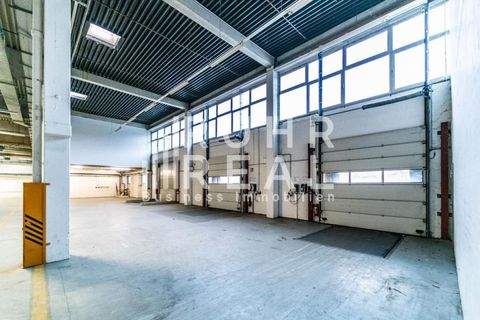 Dortmund Halle, Dortmund Hallenfläche