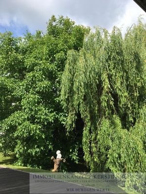 EFH Ansicht Garten im Sommer Weide