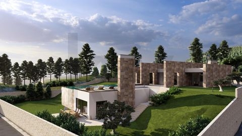 Ponta do Sol Häuser, Ponta do Sol Haus kaufen