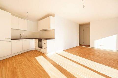 Lustenau Wohnungen, Lustenau Wohnung mieten