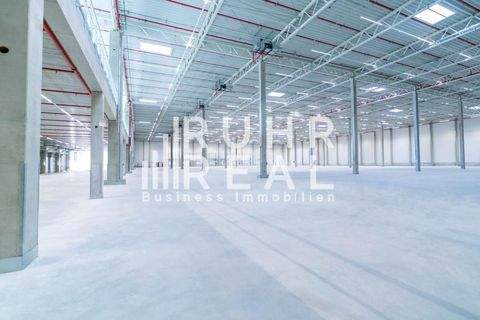 Bottrop Halle, Bottrop Hallenfläche