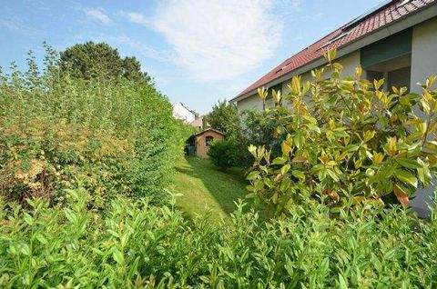 Essenheim Wohnungen, Essenheim Wohnung mieten