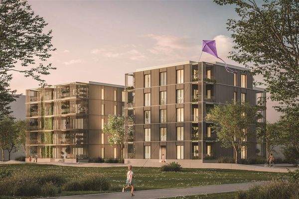 epp_flora_cam04_02_drache-in-lila_4c