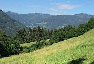 Ansicht Wiese / Weide