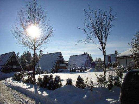 Winterimpression im Park