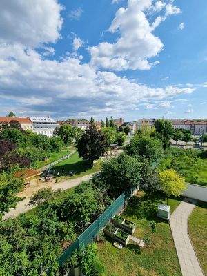 Ausblick auf Park