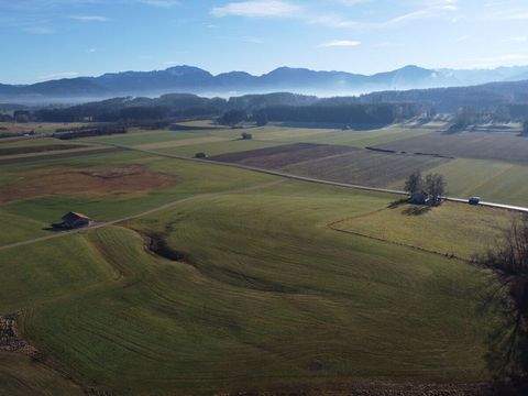 Antdorf Bauernhöfe, Landwirtschaft, Antdorf Forstwirtschaft