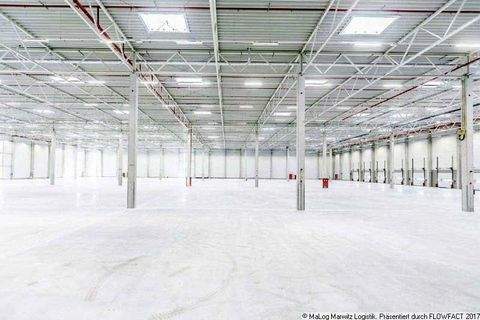 Brieselang Halle, Brieselang Hallenfläche