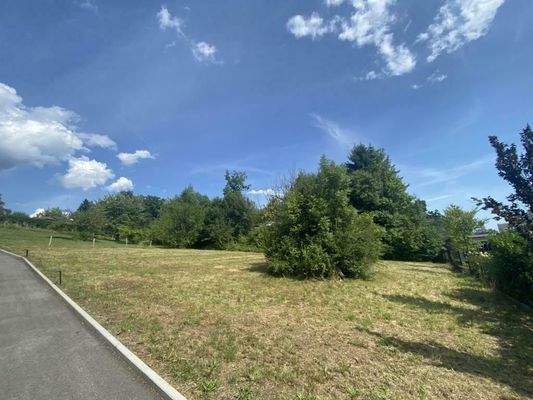 Baugrund Andritz kaufen (4)