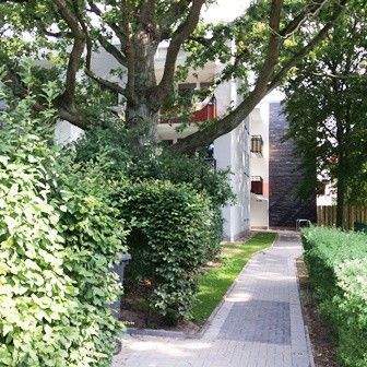 Hamburg Wohnungen, Hamburg Wohnung mieten