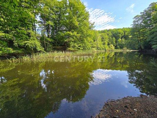 Idyllisch gelegener Weiher ca 100m lang m schönem Spazierweg