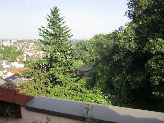 Blick vom Balkon