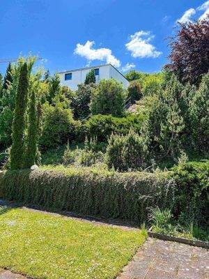 Wunderschöner Garten