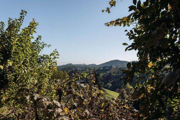 Passegger Haus Kranach 10 2025-42_resized