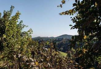 Passegger Haus Kranach 10 2025-42_resized