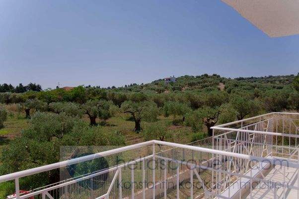 H3268 Kalandra DHH (9)