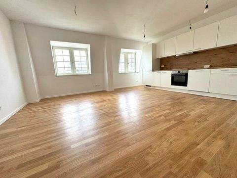 Halle (Saale) Wohnungen, Halle (Saale) Wohnung mieten