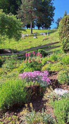 Blick auf das Grundstück