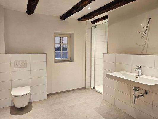 Tageslichtbad mit Dusche