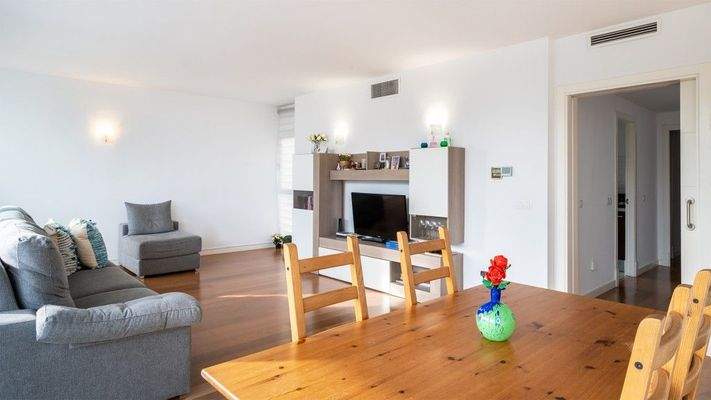 Costa d_en Blanes Mallorca Apartamento Salón 2 92069