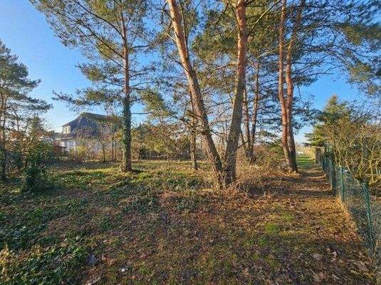 seitliche Ansicht des Baugrundstückes