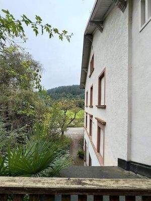 Wiehre-Günterstal: 4x GründerzeitWhg + Fabrik-Loft