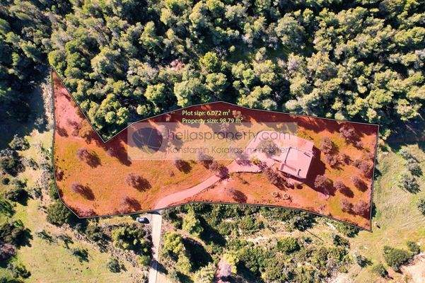 4da09c4e8adc4414bd28805e8748df95-original