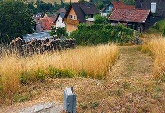 Grundstück_Kupferberg