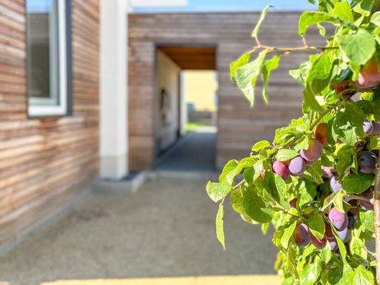 Obstbäume als gewachsener Bestandteil des Gartens