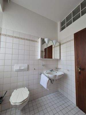 Tageslicht-Dusch-Wannenbad Hauptwohnung Bild 1.jpg