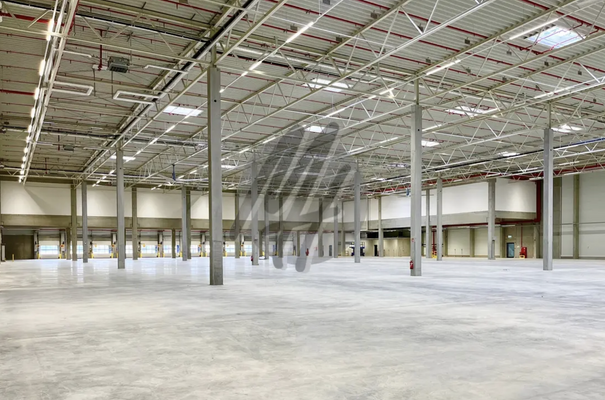 INFOS UNTER: 06171-586000