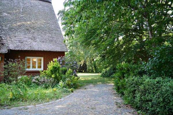 Blick zum Haus und Garten