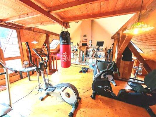 Wunderschönes Dachgeschoss im Loftstyle mit Loggia