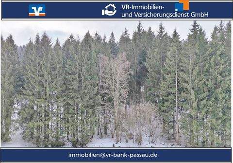 Grainet / Rehberg Bauernhöfe, Landwirtschaft, Grainet / Rehberg Forstwirtschaft