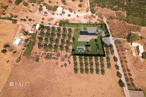 grundstueck-alcudia-14