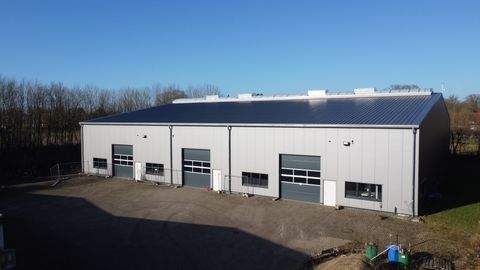 Reeßum Halle, Reeßum Hallenfläche