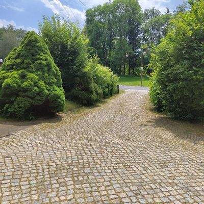 Gepflasterter Gartenweg