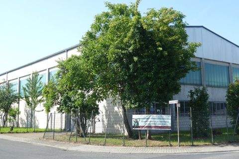 Niedernberg Halle, Niedernberg Hallenfläche