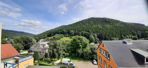 Ilmenau , Thür Wohnungen, Ilmenau , Thür Wohnung mieten