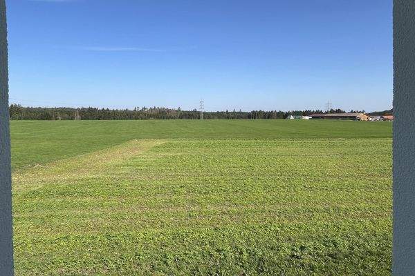 Ausblick nach hinten