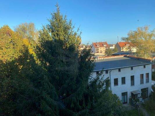 2022-10-11 at 09.11.00