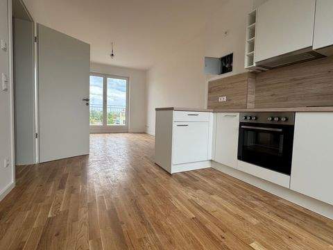 Leipzig-Mockau-Nord Wohnungen, Leipzig-Mockau-Nord Wohnung mieten