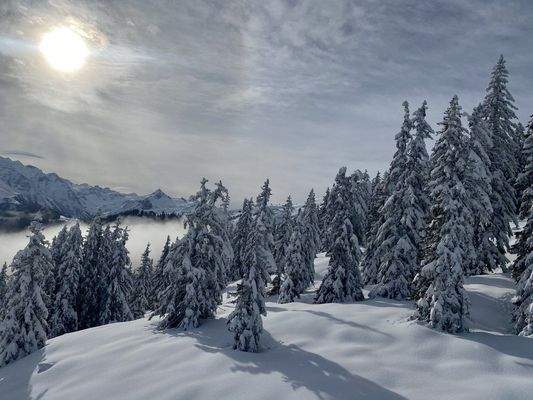 Umgebung Zell am See 3