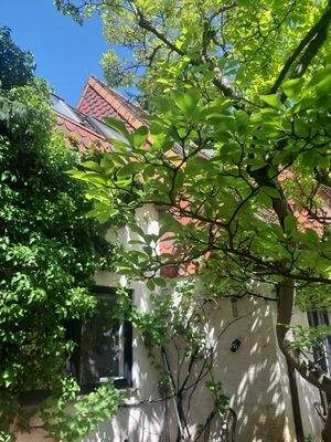 Eingewachsenes Grundstück