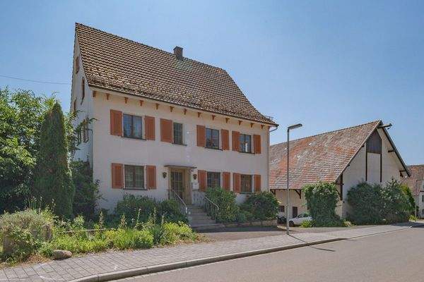 Hilzingen Binningen  (35)