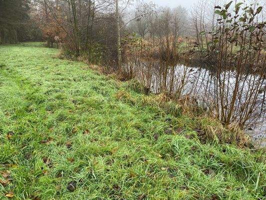 Teichansicht